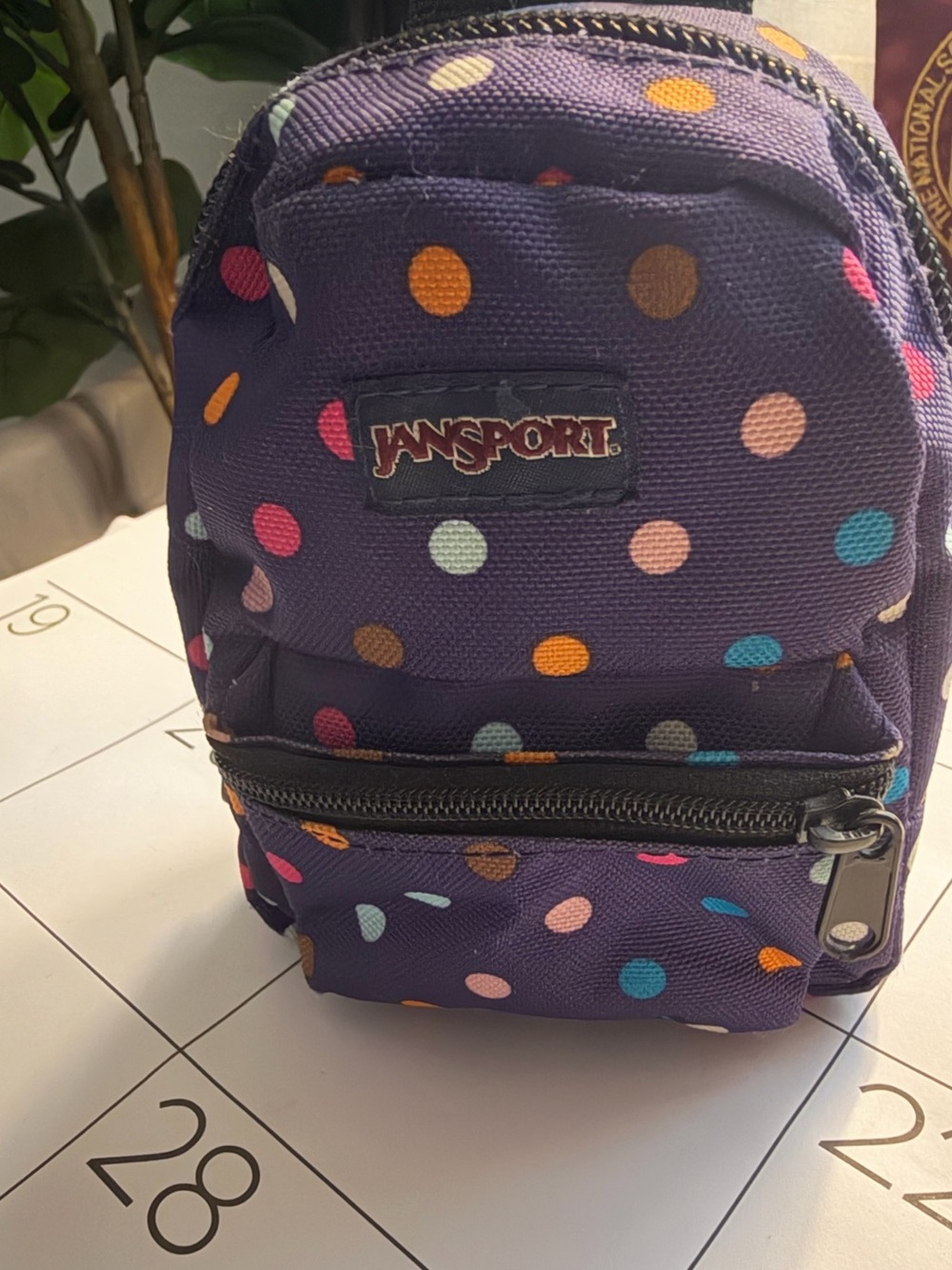 Jansport Mini Backpack in Purple with Multi-Color Polka Dots
